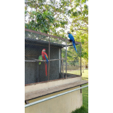 preço de tela galvanizada 2 metros Mato Grosso